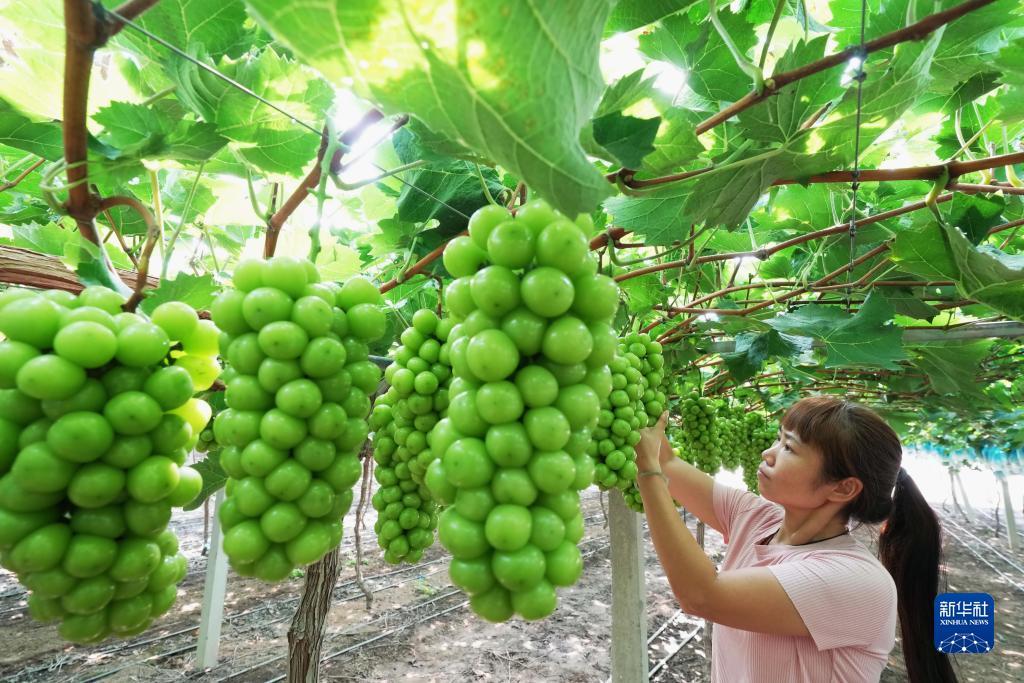 娱乐平台注册网址大全